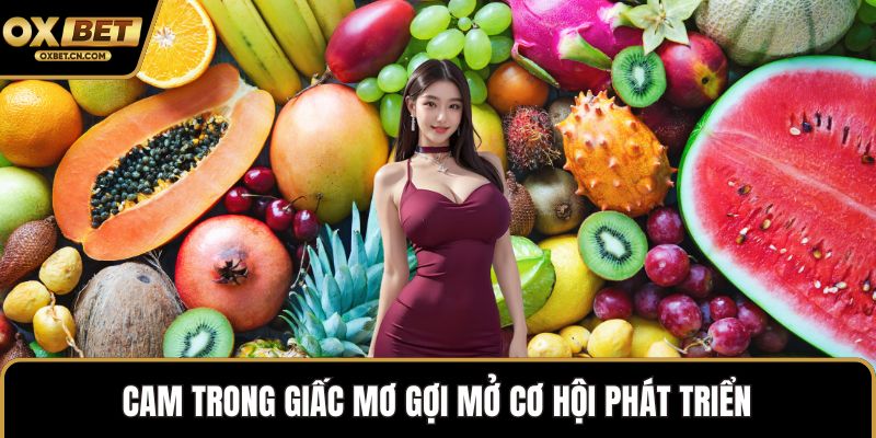 Cam trong giấc mơ gợi mở cơ hội phát triển
