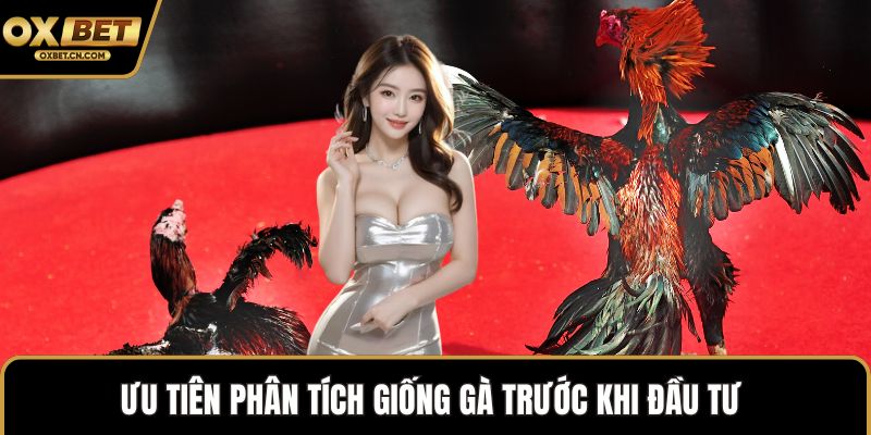 Ưu tiên phân tích giống gà trước khi đầu tư 